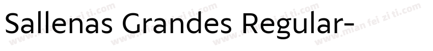 Sallenas Grandes Regular字体转换